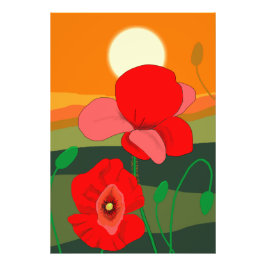 Foto Papoila no pôr do sol