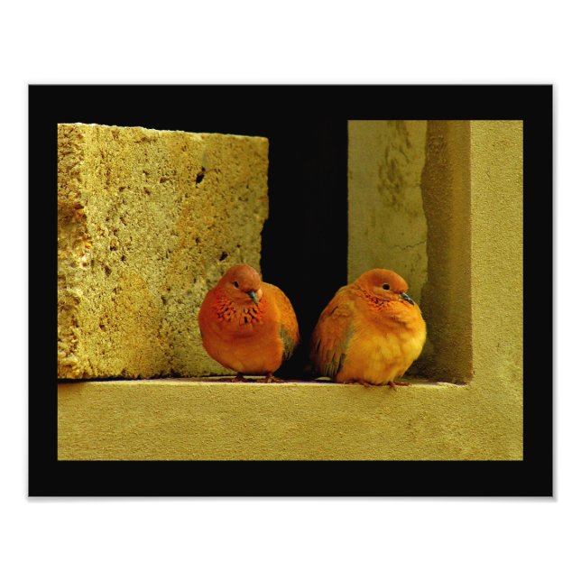 Foto Par da porta (Frente)