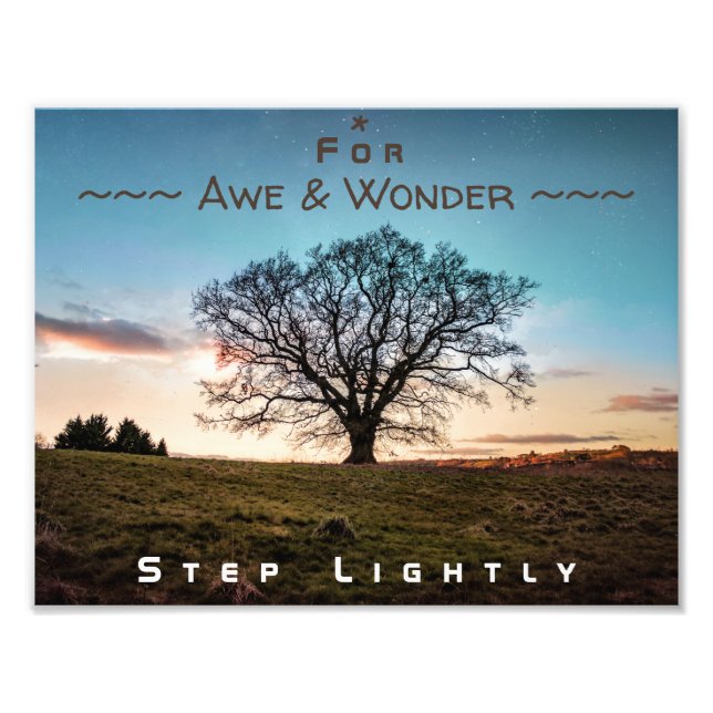 Foto Para o Awe & Wonder, Passo Lighted Tree (Frente)