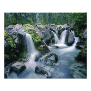 Foto Paradise Creek flui pelas encostas do Monte