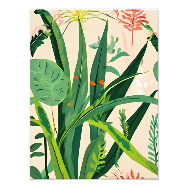 Foto Paraíso tropical (Frente)