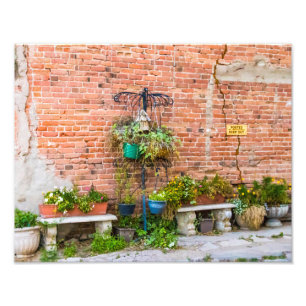 Foto Parede de tijolos 6090 com Plantas