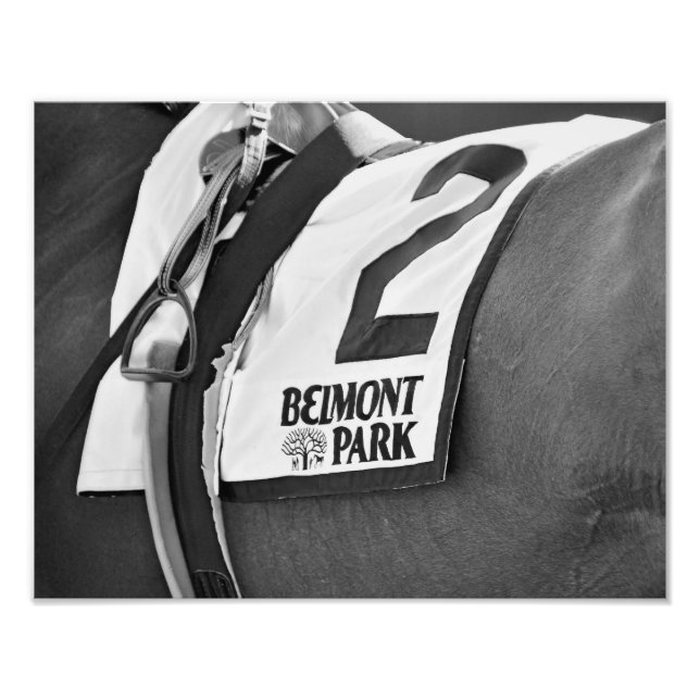 Foto Parque Belmont Desde 1905 (Frente)