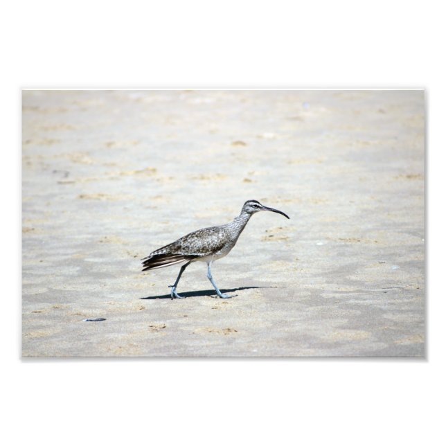 Foto Parque Estadual Crystal Cove (Frente)