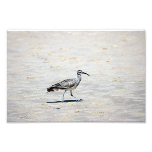 Foto Parque Estadual Crystal Cove