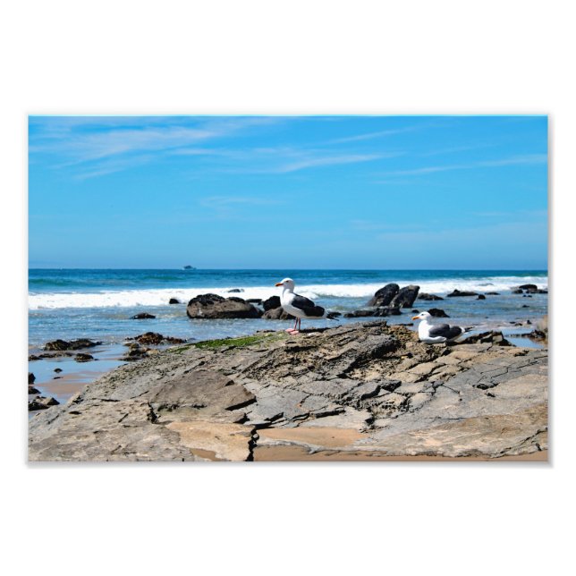 Foto Parque Estadual Crystal Cove (Frente)