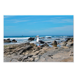 Foto Parque Estadual Crystal Cove