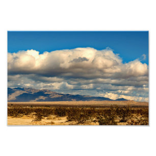 Foto Parque Estadual do Deserto de Anza Borrego