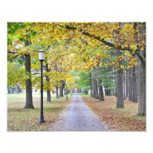 Foto Parque estadual dos termas de Saratoga