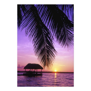 Foto Parque Estadual John Pennekamp, Florida Keys, Key