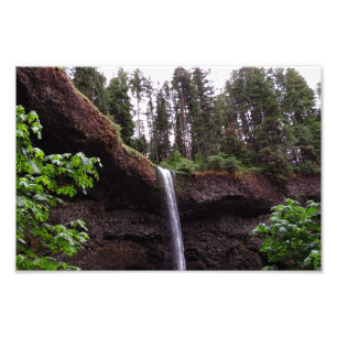 Foto Parque Estadual Silver Falls