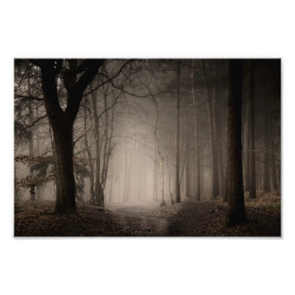 Foto Parque Nacional de Rushmere, Foggy Morning (0856)