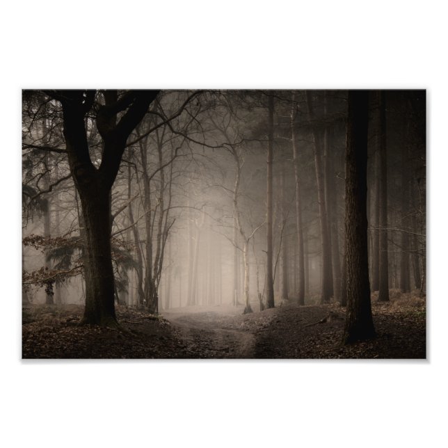 Foto Parque Nacional de Rushmere, Foggy Morning (0856) (Frente)