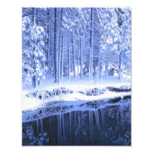 Foto PARQUE NACIONAL DE YOSEMITE, CALIFÓRNIA. EUA. Fres