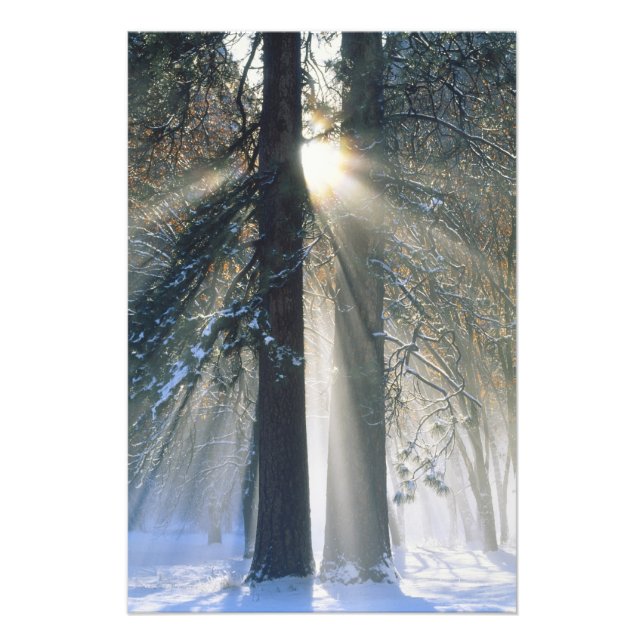 Foto Parque Nacional de Yosemite - Raios de sol fluindo (Frente)