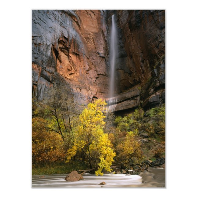 Foto Parque Nacional de Zion, Utah. EUA. Efêmero (Frente)