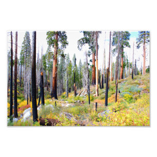 Foto Parque Nacional do Kings Canyon
