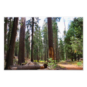 Foto Parque Nacional do Kings Canyon