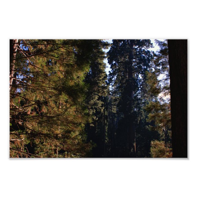 Foto Parque Nacional do Kings Canyon (Frente)