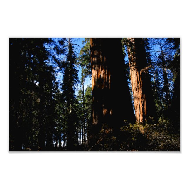 Foto Parque Nacional do Kings Canyon (Frente)