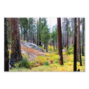 Foto Parque Nacional do Kings Canyon