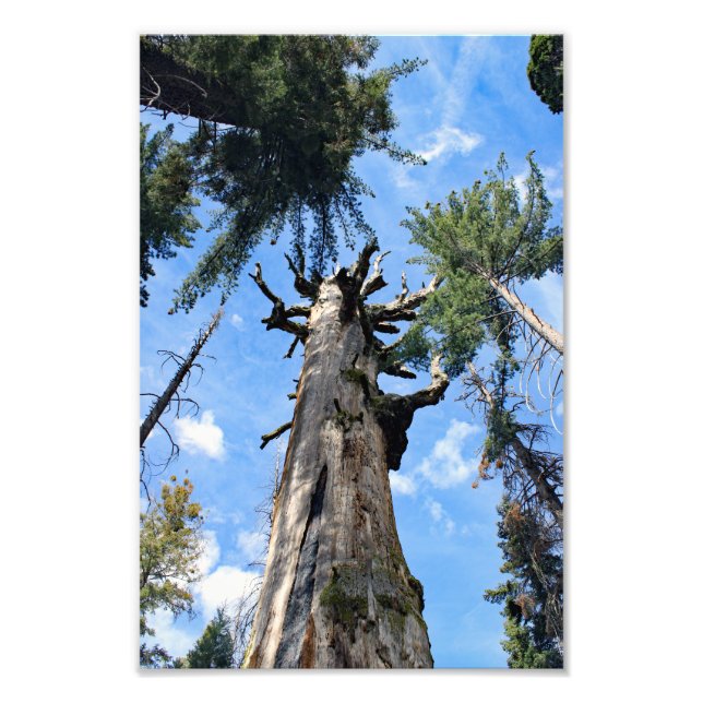 Foto Parque Nacional do Kings Canyon (Frente)