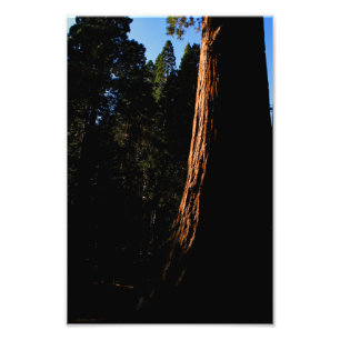 Foto Parque Nacional do Kings Canyon