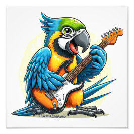 Foto Parrot Rock Music