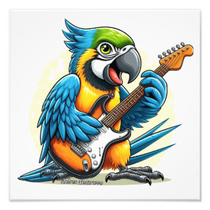 Foto Parrot Rock Music