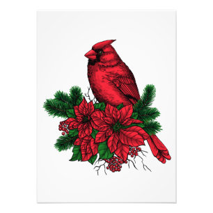 Foto Pássaro cardeal, ilustração de Natal