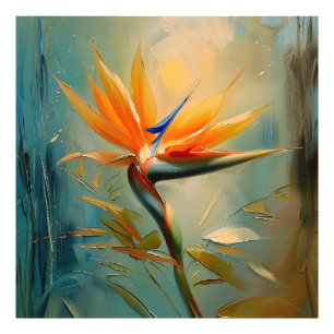 Foto Pássaro da Fábrica Tropical de Paraíso