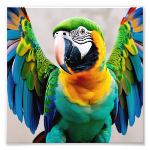 Foto Pássaro de papagaio colorido