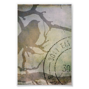 Foto Pássaro Em Um Ramo