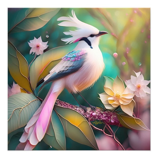 Foto Pássaro Fantasia Branca - Blush Tail Jay (Frente)