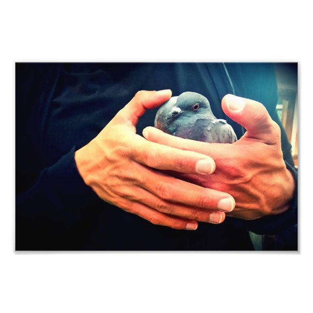 Foto Pássaro Ferido (Frente)