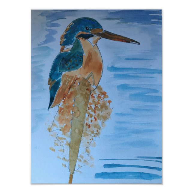 Foto Pássaro Martim-pescador (Frente)