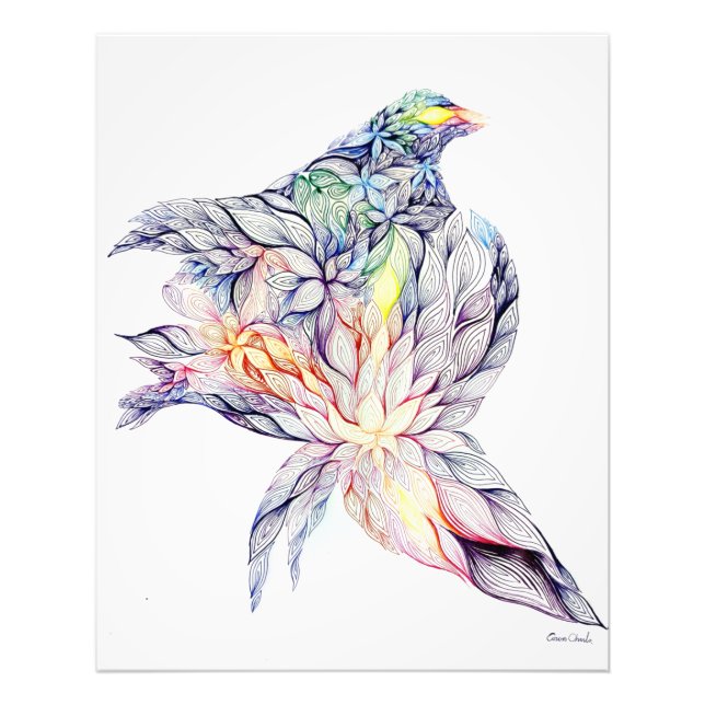 Foto Pássaro no ninho dela (Frente)