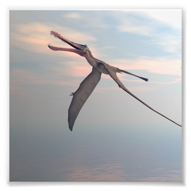 Foto Pássaro pré-histórico da Anhanguera (Frente)