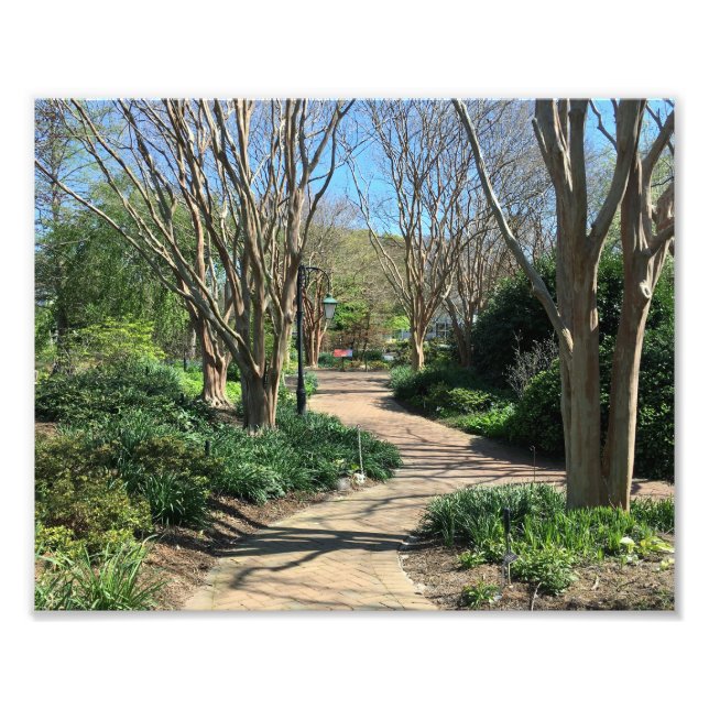 Foto Passeio tremendo com linha de árvore (Frente)