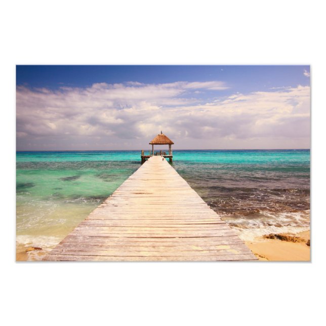 Foto Pata de passadeiras no mar de Caribe (Frente)