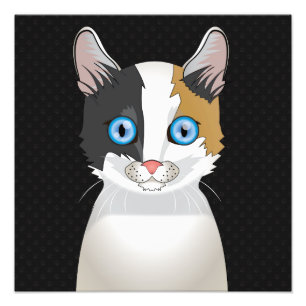 Foto Patas Bobtail japonesas dos desenhos animados do