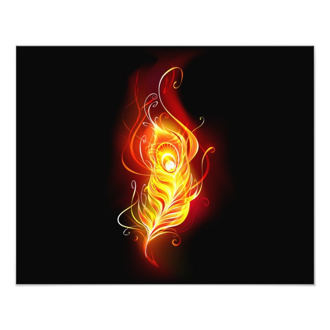 Foto Patilha de Fogo (Frente)