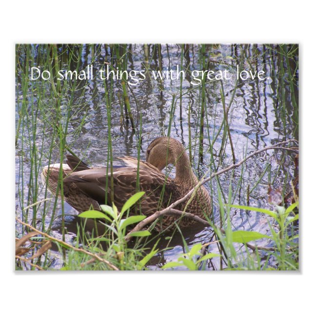 Foto Pato A Pé Entre As Rastas. (Frente)