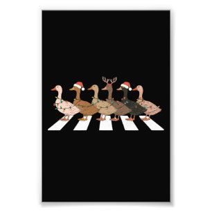 Foto Patos de Natal Animais Divertidos Presente para Am