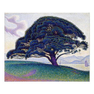 Foto Paul Signac - O Pinheiro Bonaventure