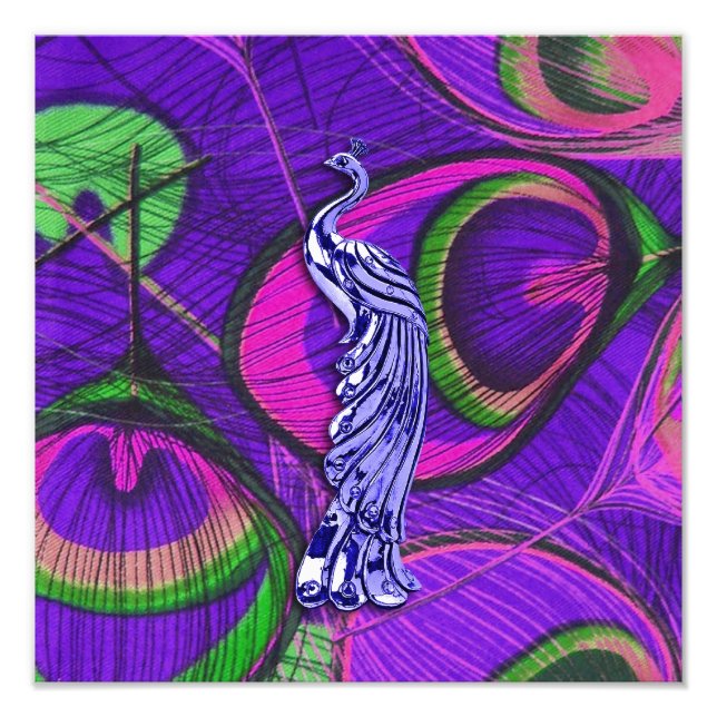 Foto Pavão rosa e púrpura (Frente)