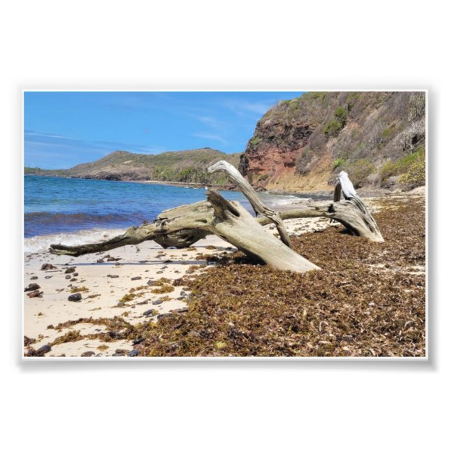 Foto paysage (Frente)