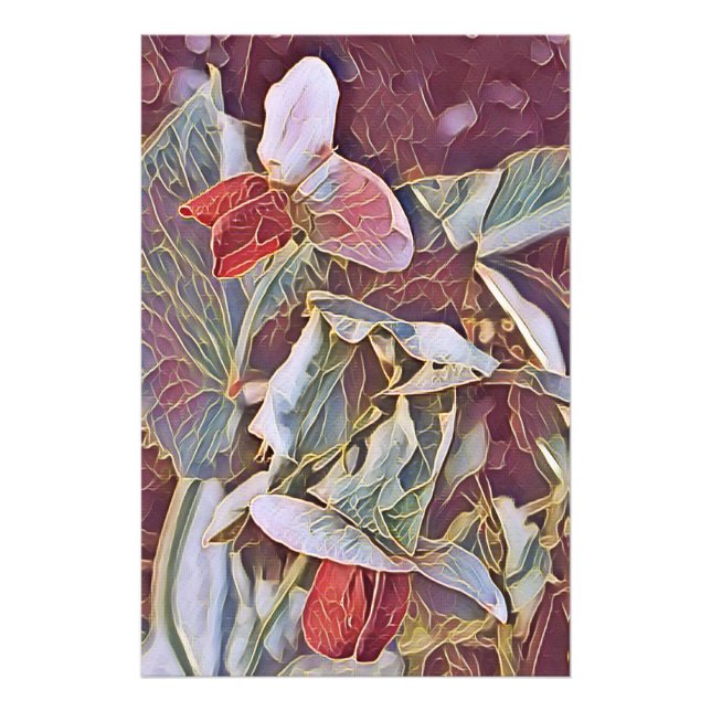 FOTO PEAS DOCES (Frente)