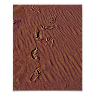 Foto Pegadas de Praia