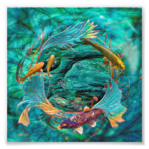 Foto Peixes Koi NADANDO EM PAZ